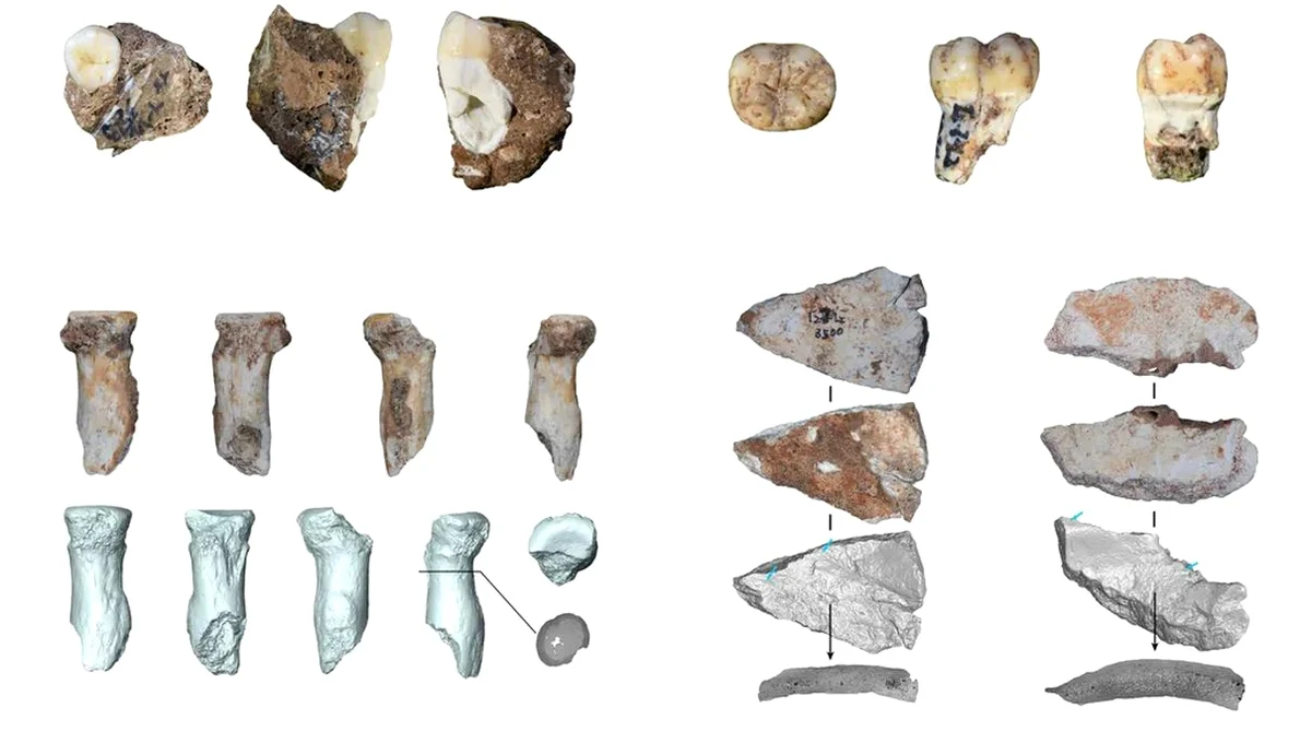 Arheologii au descoperit doi dinți și trei fragmente osoase de la denisovani în peștera Bianfu din China