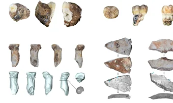 Arheologii au descoperit doi dinți și trei fragmente osoase de la denisovani în peștera Bianfu din China