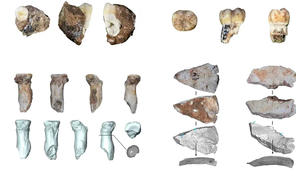 Arheologii au descoperit doi dinți și trei fragmente osoase de la denisovani în peștera Bianfu din China