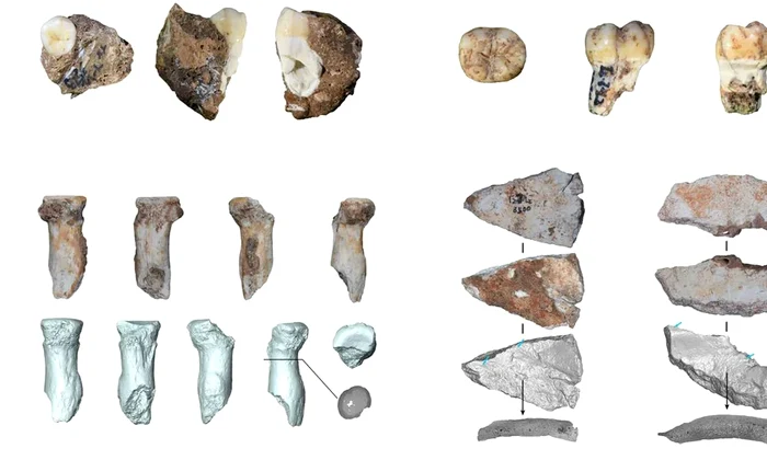 Arheologii au descoperit doi dinți și trei fragmente osoase de la denisovani în peștera Bianfu din China