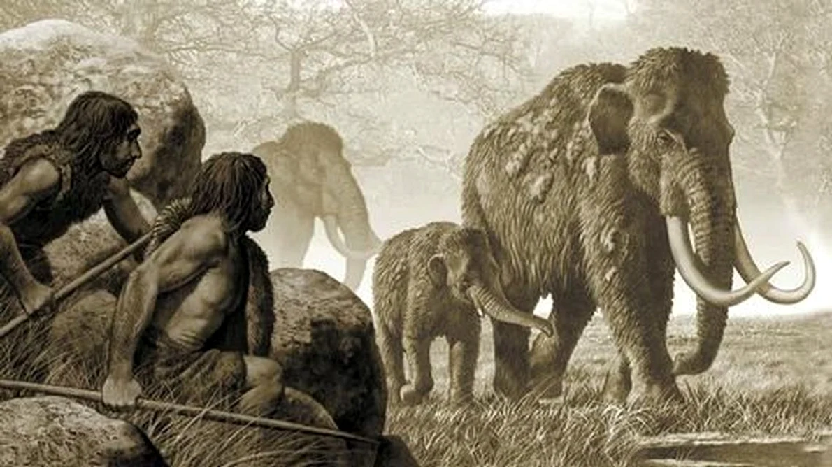 Neanderthalienii şi au creat singuri unelte, fără a intra în contact cu Homo sapiens jpeg