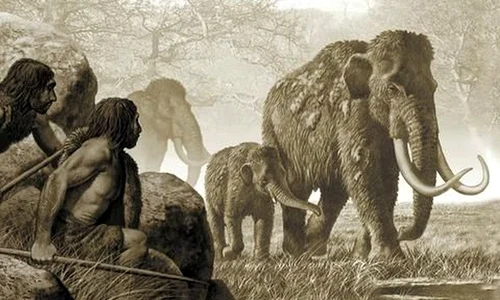 Neanderthalienii şi au creat singuri unelte, fără a intra în contact cu Homo sapiens jpeg