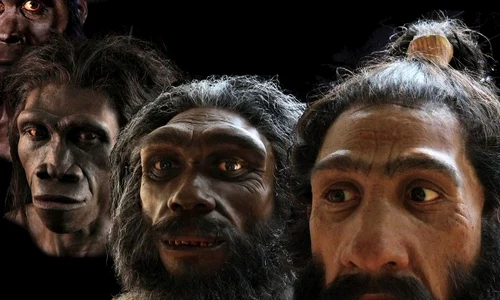 Doar 7 la sută din ADN ul oamenilor moderni este original! Cine sunt strămoșii noștri jpeg
