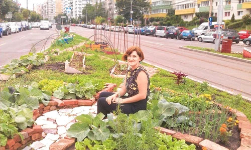 1 54539 original jpg jpeg