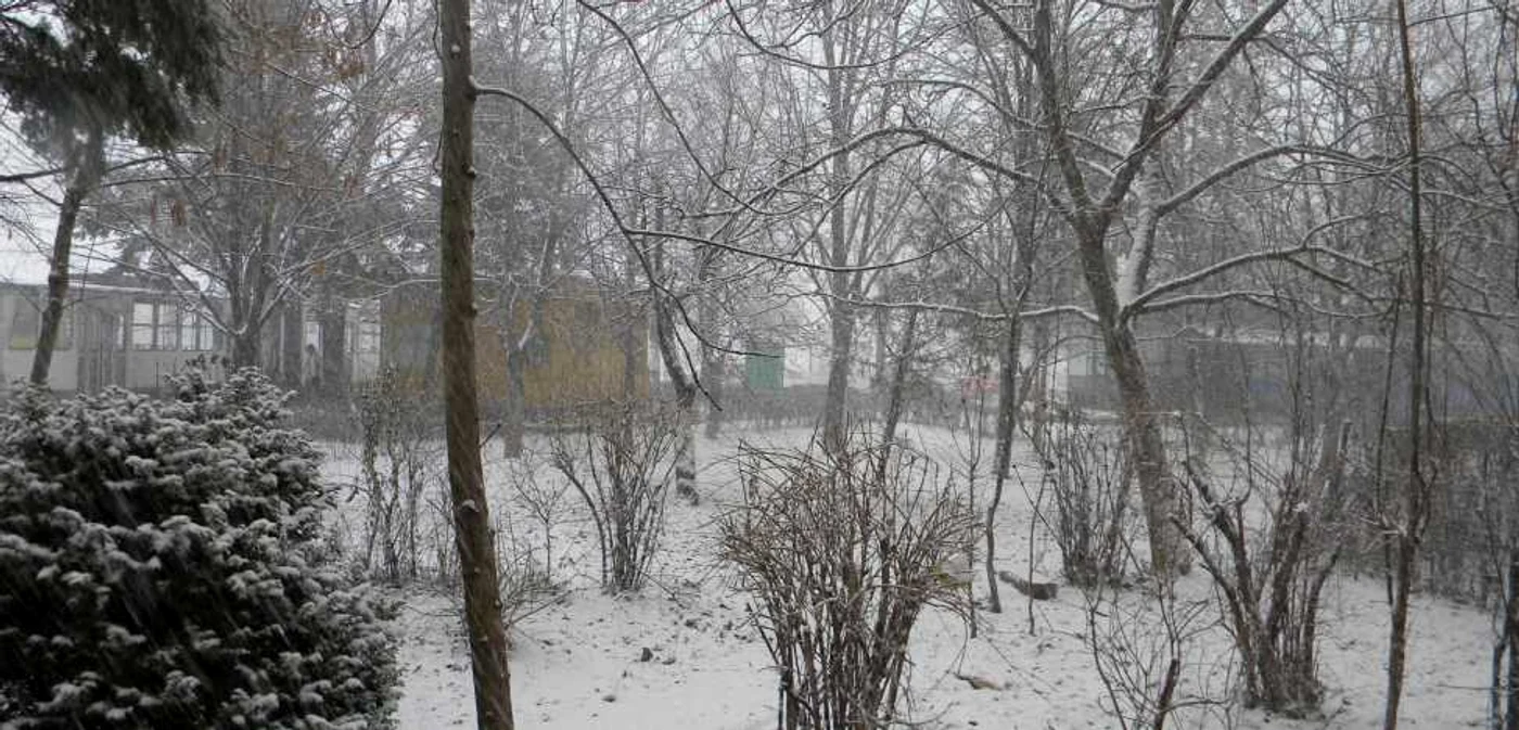Luni dimineaţă ningea puternic la Ploieşti. FOTO: Dana Mihai