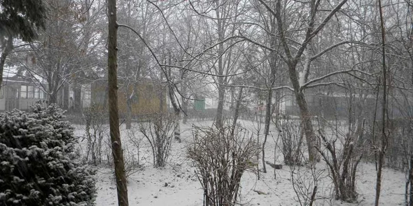 ninsoare ploiesti