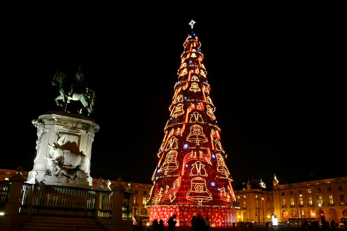 Bradul este amplasat în capitala Portugaliei (foto: Shutterstock)