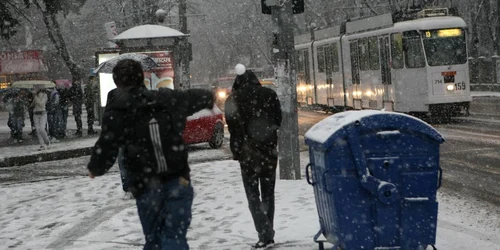 Tinerii au început deja să se bulgărească