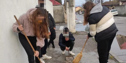 mancatori de seminte pusi sa mature foto primaria constanta