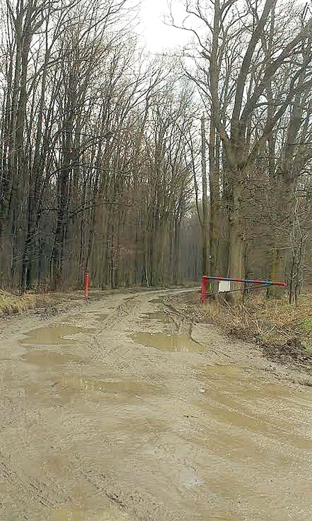 La intrarea în pădurea Cocani, echipa Pro TV a instalat o barieră
