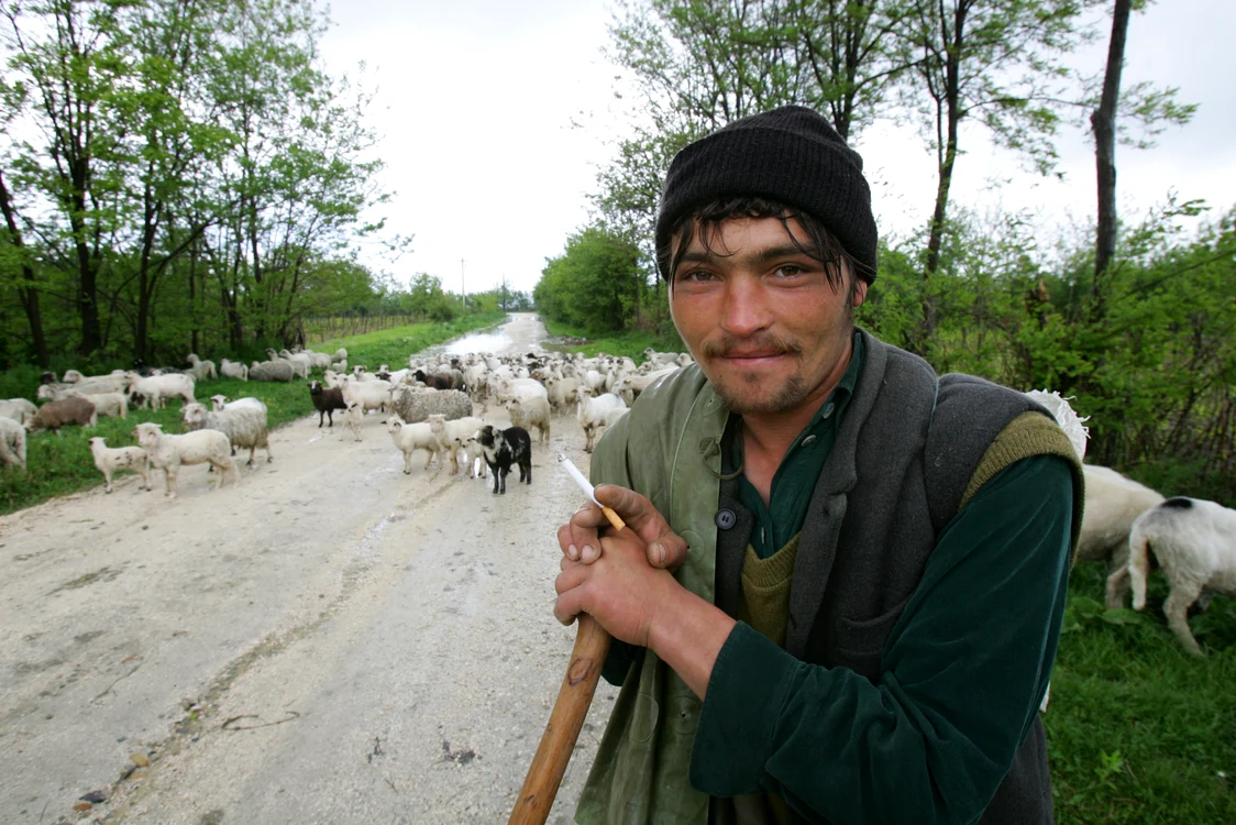 Fermierul român laolaltă jpeg