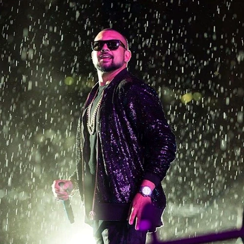 sean paul png