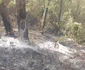 Ce a rămas în urma incendiului de proporții de pe Valea Oltului în comuna Racovița Vâlcea Foto ISU Vâlcea