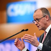 Friedrich Merz FOTO Profimedia