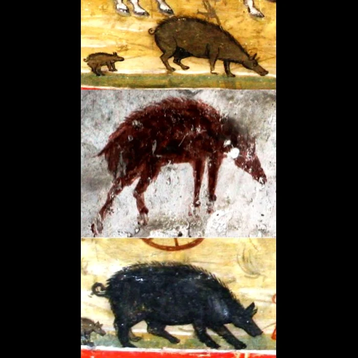 Porcul românesc: „fragmente” istorice și semnificații sociale jpeg