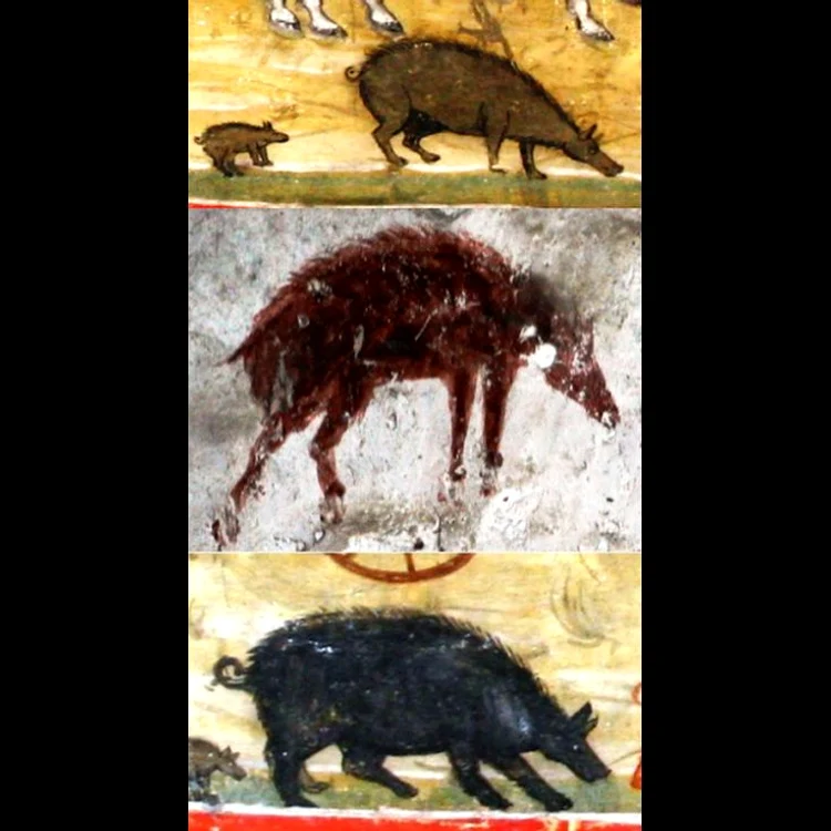Porcul românesc: „fragmente” istorice și semnificații sociale jpeg
