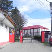 spitalul de psihiatrie si masuri de siguranta stei