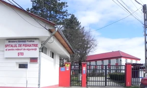 spitalul de psihiatrie si masuri de siguranta stei