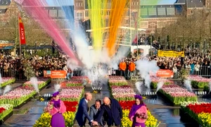 Lalele Amsterdam jfif