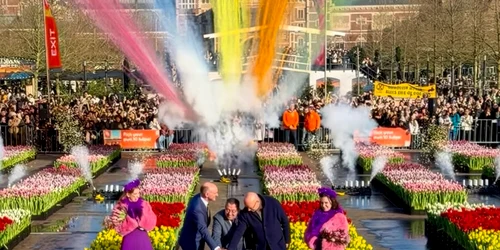 Lalele Amsterdam jfif