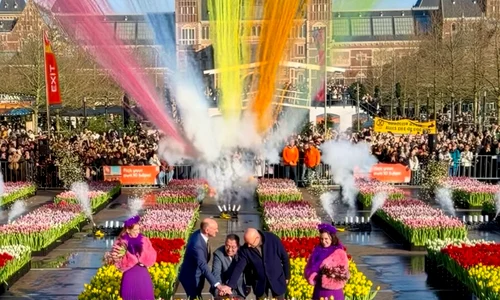 Lalele Amsterdam jfif