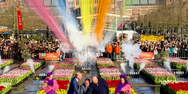 Lalele Amsterdam jfif