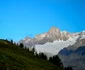 Alpi
