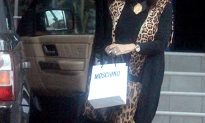 mihaela constantinescu fosta sotie mihai constantinescu jpeg