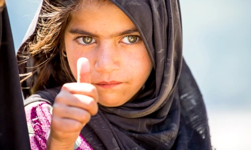 1 shutterstock 462144547 jpg jpeg