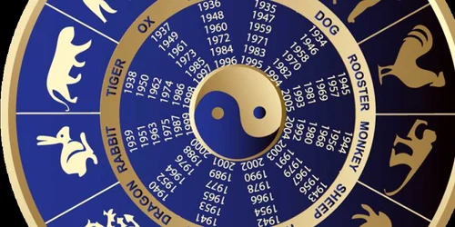 cele mai norocose zodii în horoscopul chinezesc