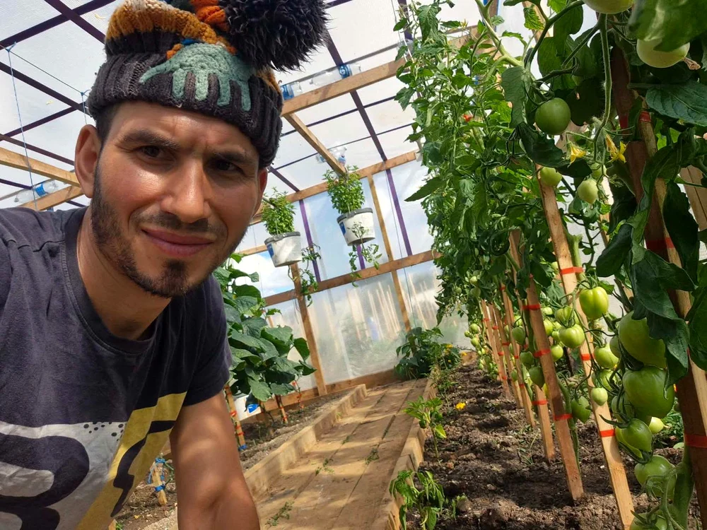 Sergiu are un solar în care cultivă roșii FOTO: Anunțul UK/FB