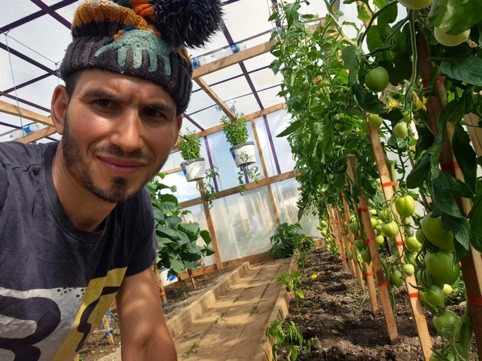 Sergiu are un solar în care cultivă roșii FOTO: Anunțul UK/FB