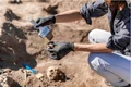 sapaturi arheologice i stock jpg
