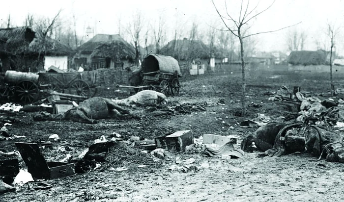 Câmpul de luptă de lângă București, 21 noiembrie/4 decembrie 1916