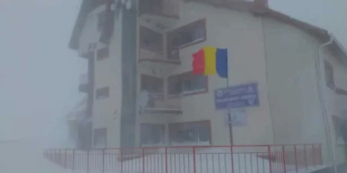 5eb3ed595163ec427189b738 jpg