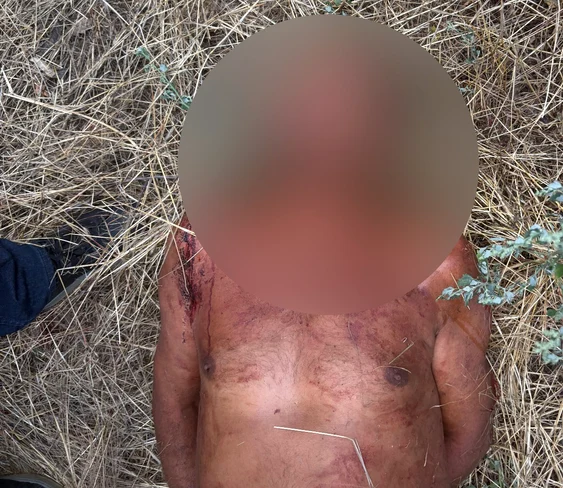 Un bărbat în vârstă de 64 de ani a fost ucis cu brutalitate în propria curte FOTO: Imagini amator
