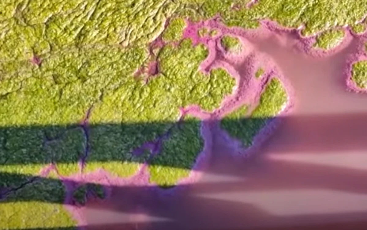 Lacul Techirghiol FOTO Captură video