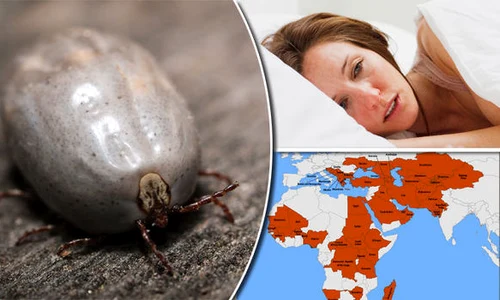 virus mortal febra hemoragica crimeea congo jpg