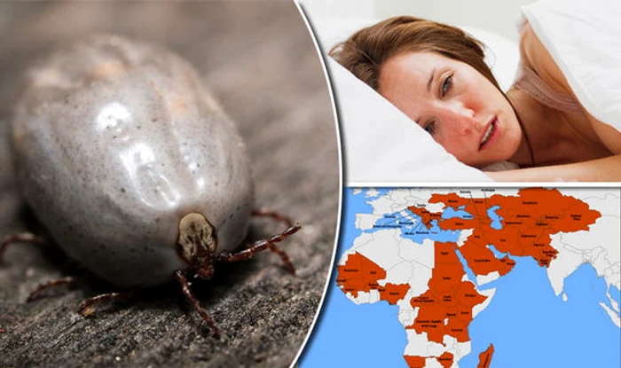 virus mortal febra hemoragica crimeea congo jpg