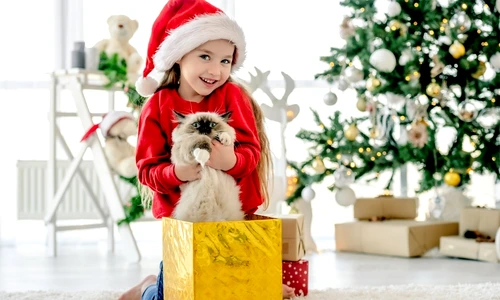 1 shutterstock 2074568266 jpg jpeg