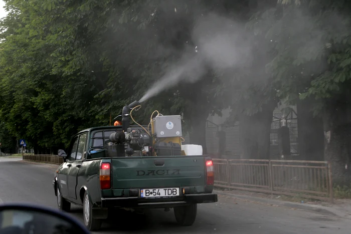 Comandourile Capitalei au început să extermine dăunătorii cu parcurile și spațiile verzi din sectoarele 1, 2 și 3