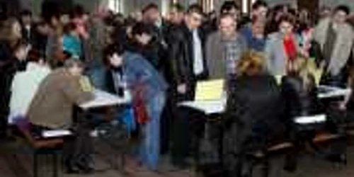 Bursa locurilor de muncă Foto:Arhivă