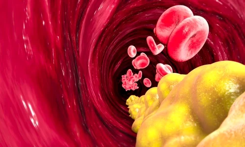 1 shutterstock 1063595057 jpg jpeg