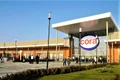 cora jpg