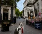 motanul Larry la 10 Downing Street, reședința oficială a premierului Marii Britanii. FOTO: Instagram