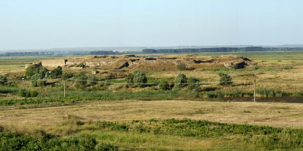 Cetatea Dinogetia