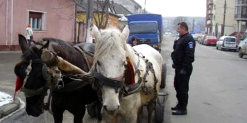 Căruțași amendați de agenții comunitari