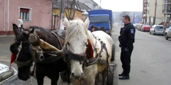 Căruțași amendați de agenții comunitari