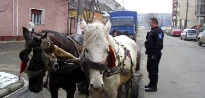 Căruțași amendați de agenții comunitari