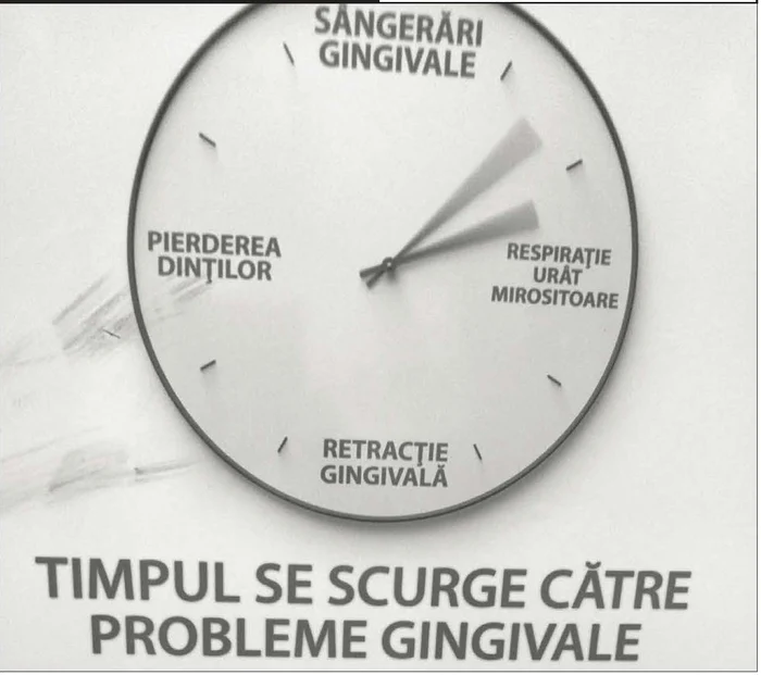 Poezie, berze, profesorul Brădățan jpeg